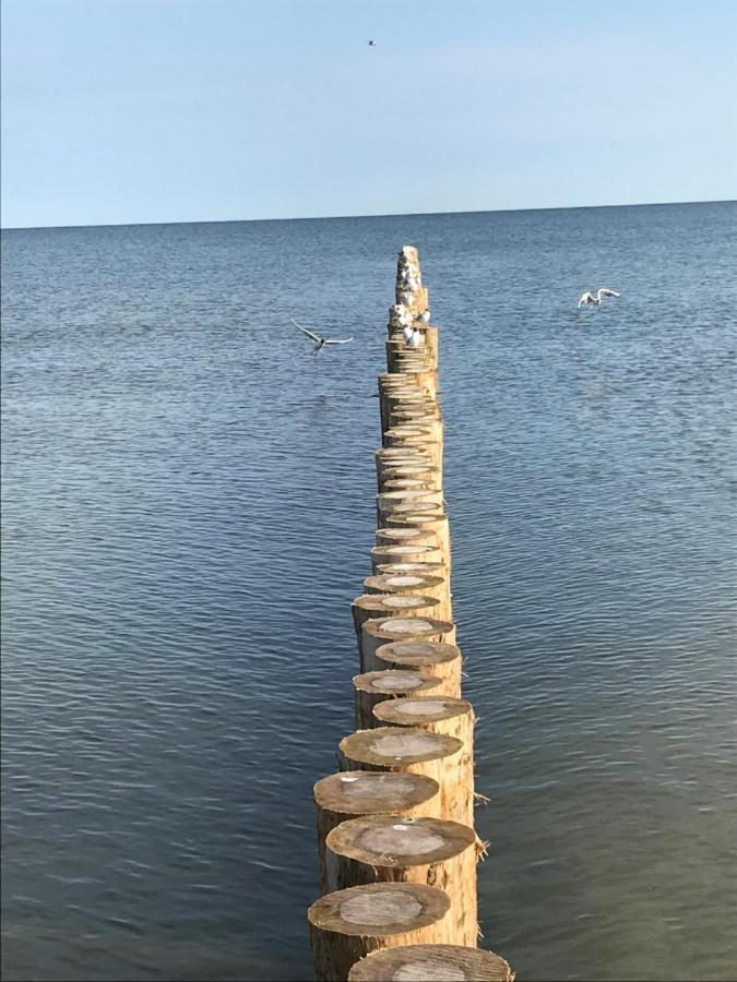 Appartamento Ive'S Gardenia Seaside Dziwnów Esterno foto
