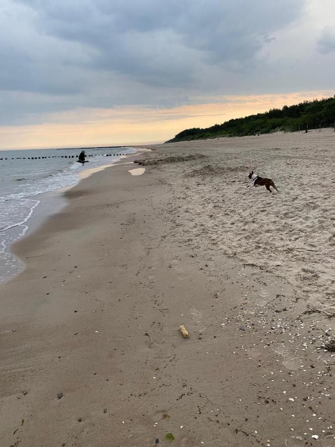 Appartamento Ive'S Gardenia Seaside Dziwnów Esterno foto